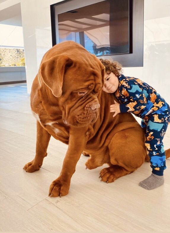 har en finger i kagen lidenskabelig Permanent Das Süßeste, was ihr heute sehen werdet: Messis Sohn Ciro umarmt den Hund  Hulk - Fußball | Tribuna.com
